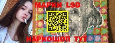 шишки Дубна