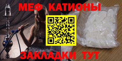 шишки Дубна