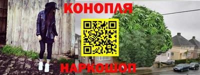 шишки Дубна