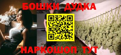 шишки Дубна