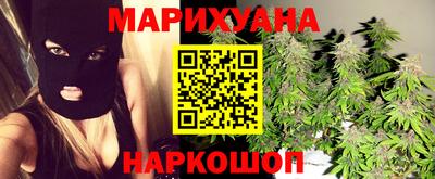 шишки Дубна